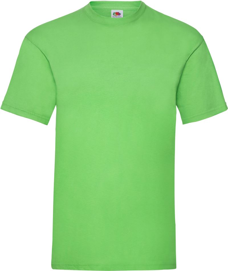 MAJICA T-SHIRT FRUIT OF THE LOOM VALUEWEIGHT - slika 22