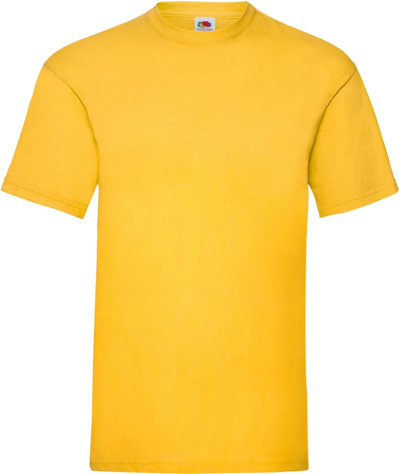 MAJICA T-SHIRT FRUIT OF THE LOOM VALUEWEIGHT - slika 7